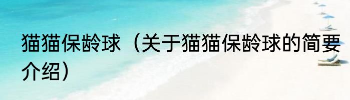 猫猫保龄球（关于猫猫保龄球的简要介绍）