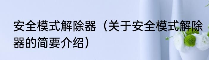 安全模式解除器（关于安全模式解除器的简要介绍）