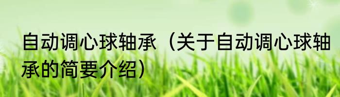 自动调心球轴承（关于自动调心球轴承的简要介绍）