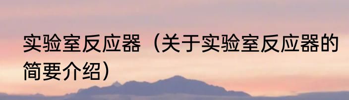 实验室反应器（关于实验室反应器的简要介绍）