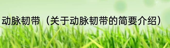 魔兽怀旧服石中盐获得方法消息推荐 魔兽怀旧服石中盐获得方法详细介绍