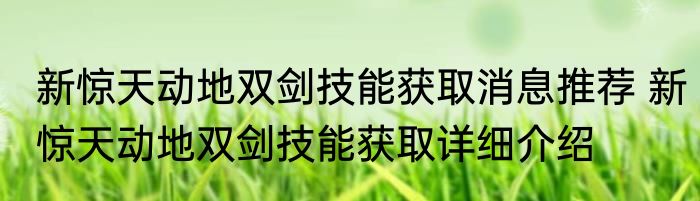 新惊天动地双剑技能获取消息推荐 新惊天动地双剑技能获取详细介绍