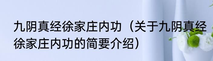 九阴真经徐家庄内功（关于九阴真经徐家庄内功的简要介绍）