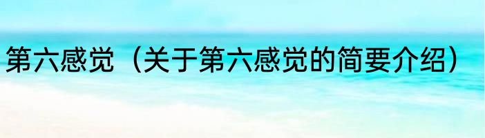 第六感觉（关于第六感觉的简要介绍）