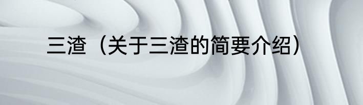 三渣（关于三渣的简要介绍）