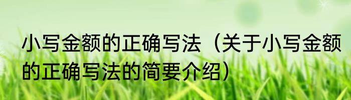 小写金额的正确写法（关于小写金额的正确写法的简要介绍）