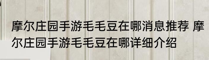 摩尔庄园手游毛毛豆在哪消息推荐 摩尔庄园手游毛毛豆在哪详细介绍