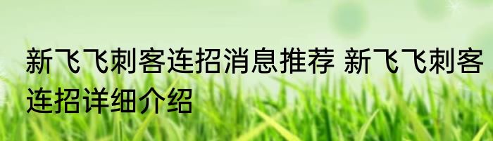 新飞飞刺客连招消息推荐 新飞飞刺客连招详细介绍
