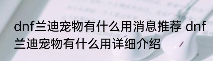 dnf兰迪宠物有什么用消息推荐 dnf兰迪宠物有什么用详细介绍