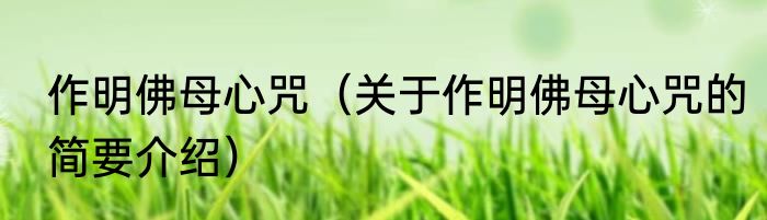 作明佛母心咒（关于作明佛母心咒的简要介绍）