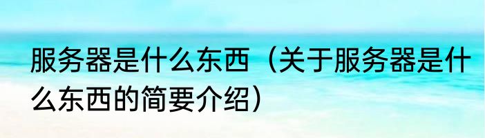 服务器是什么东西（关于服务器是什么东西的简要介绍）