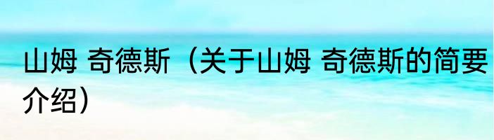 山姆 奇德斯（关于山姆 奇德斯的简要介绍）