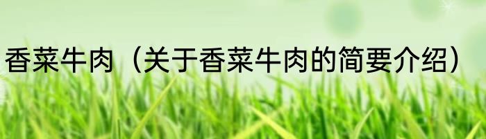 香菜牛肉（关于香菜牛肉的简要介绍）