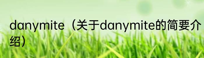 danymite（关于danymite的简要介绍）