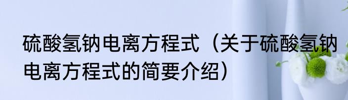 硫酸氢钠电离方程式（关于硫酸氢钠电离方程式的简要介绍）