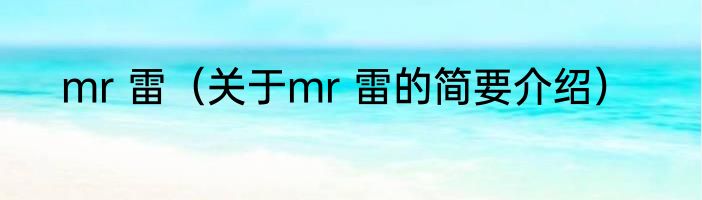 mr 雷（关于mr 雷的简要介绍）