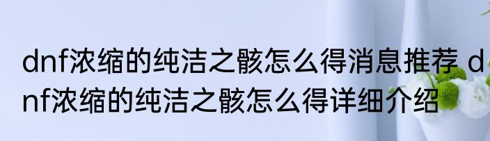 dnf浓缩的纯洁之骸怎么得消息推荐 dnf浓缩的纯洁之骸怎么得详细介绍