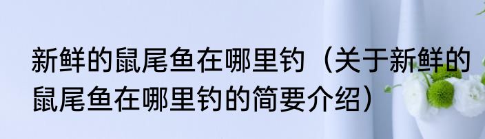 新鲜的鼠尾鱼在哪里钓（关于新鲜的鼠尾鱼在哪里钓的简要介绍）