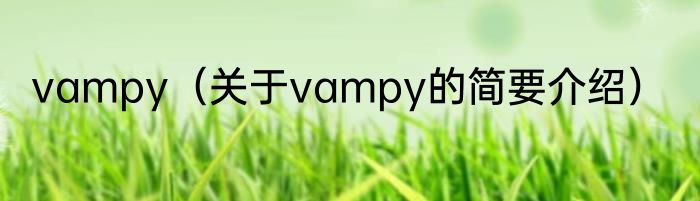 vampy（关于vampy的简要介绍）