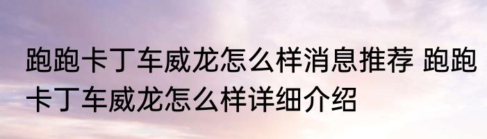 跑跑卡丁车威龙怎么样消息推荐 跑跑卡丁车威龙怎么样详细介绍