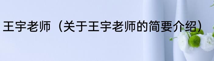 王宇老师（关于王宇老师的简要介绍）