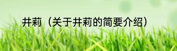 井莉（关于井莉的简要介绍）