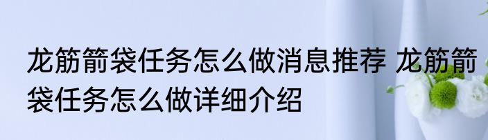 龙筋箭袋任务怎么做消息推荐 龙筋箭袋任务怎么做详细介绍