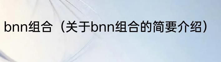 bnn组合（关于bnn组合的简要介绍）