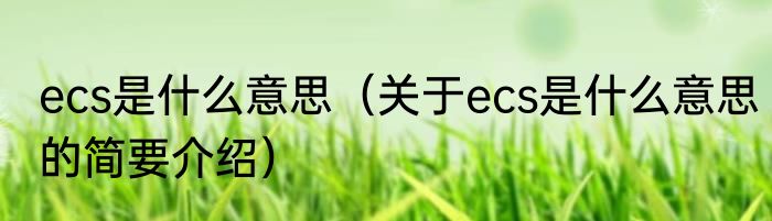 ecs是什么意思（关于ecs是什么意思的简要介绍）