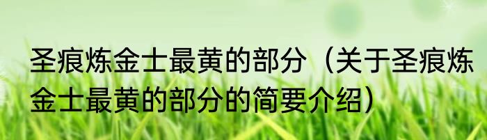 圣痕炼金士最黄的部分（关于圣痕炼金士最黄的部分的简要介绍）