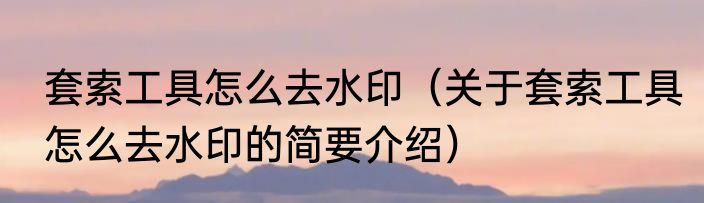 套索工具怎么去水印（关于套索工具怎么去水印的简要介绍）