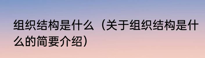 组织结构是什么（关于组织结构是什么的简要介绍）