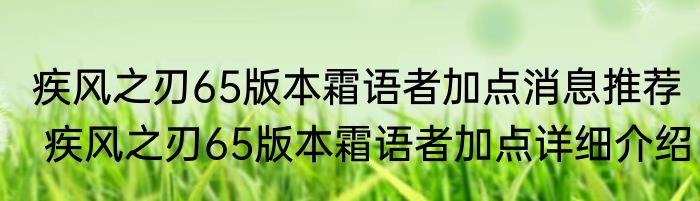 疾风之刃65版本霜语者加点消息推荐 疾风之刃65版本霜语者加点详细介绍