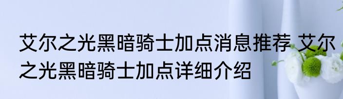 艾尔之光黑暗骑士加点消息推荐 艾尔之光黑暗骑士加点详细介绍