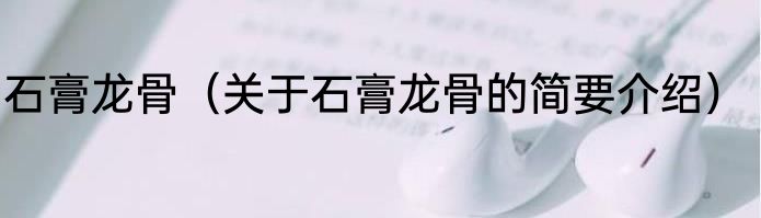 石膏龙骨（关于石膏龙骨的简要介绍）