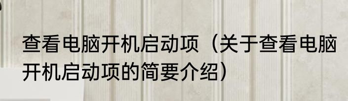 查看电脑开机启动项（关于查看电脑开机启动项的简要介绍）