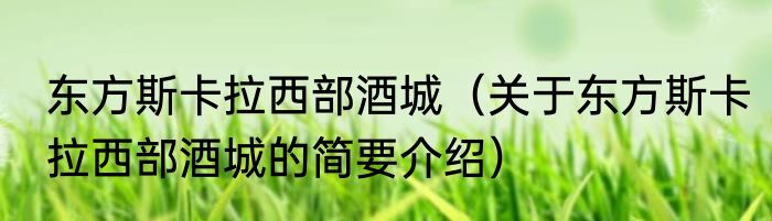 东方斯卡拉西部酒城（关于东方斯卡拉西部酒城的简要介绍）