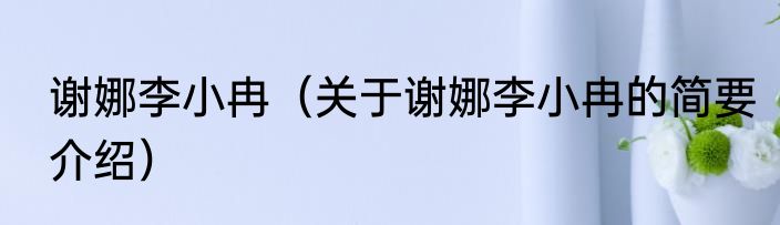 谢娜李小冉（关于谢娜李小冉的简要介绍）