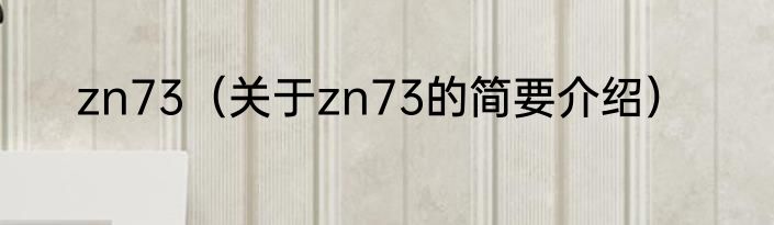 zn73（关于zn73的简要介绍）