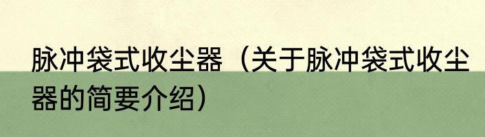 脉冲袋式收尘器（关于脉冲袋式收尘器的简要介绍）