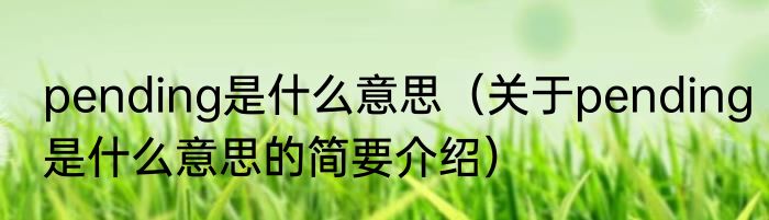 pending是什么意思（关于pending是什么意思的简要介绍）