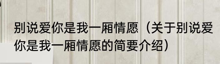 别说爱你是我一厢情愿（关于别说爱你是我一厢情愿的简要介绍）