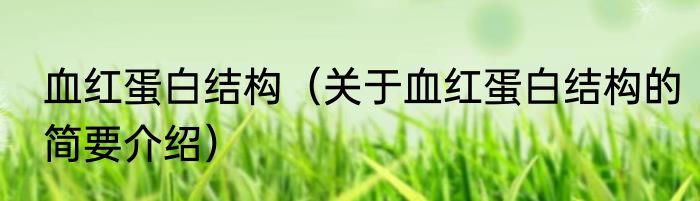 血红蛋白结构（关于血红蛋白结构的简要介绍）