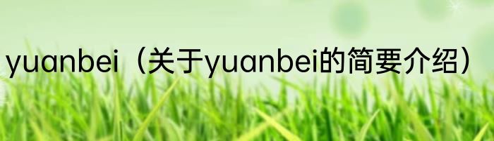 yuanbei（关于yuanbei的简要介绍）