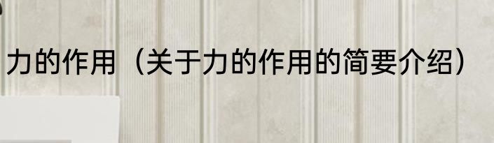 力的作用（关于力的作用的简要介绍）