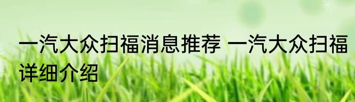 一汽大众扫福消息推荐 一汽大众扫福详细介绍