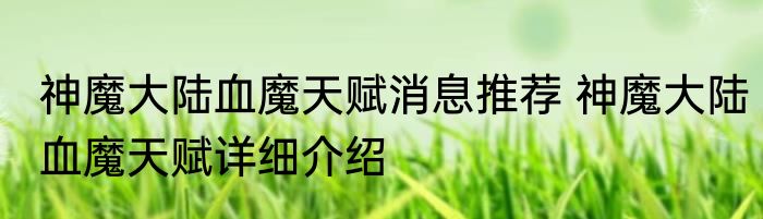 神魔大陆血魔天赋消息推荐 神魔大陆血魔天赋详细介绍