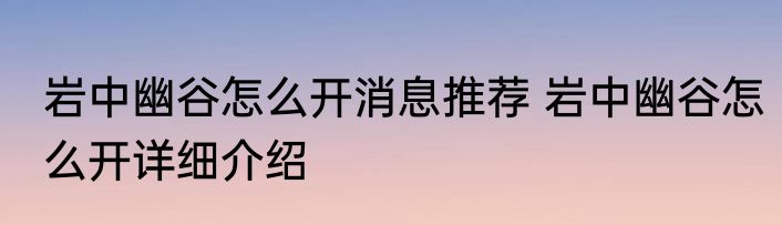 岩中幽谷怎么开消息推荐 岩中幽谷怎么开详细介绍