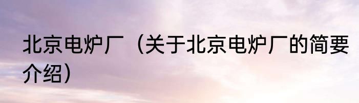 北京电炉厂（关于北京电炉厂的简要介绍）