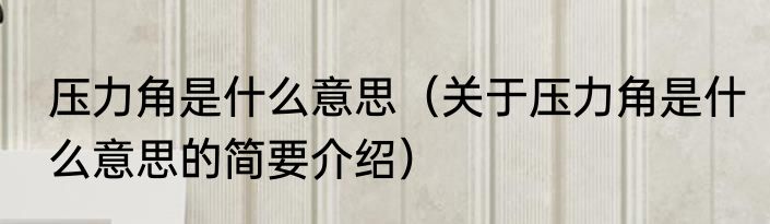 压力角是什么意思（关于压力角是什么意思的简要介绍）